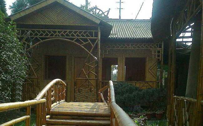 独栋竹房建盖